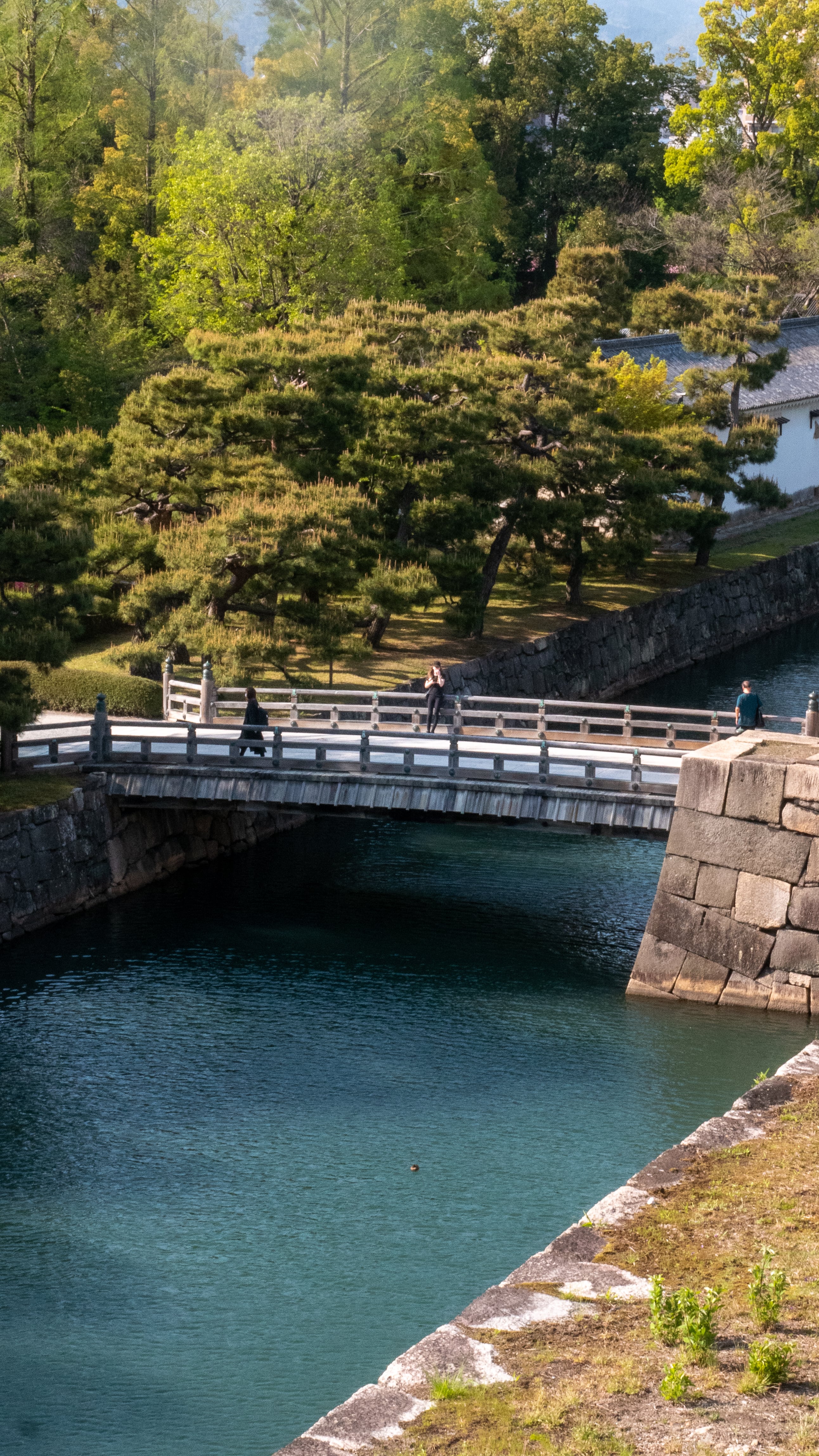 Nature — paysage brut et sauvage